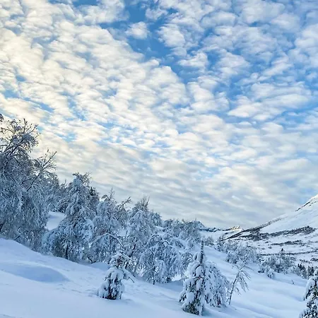 4 Bedroom Cozy In Straumgjerde